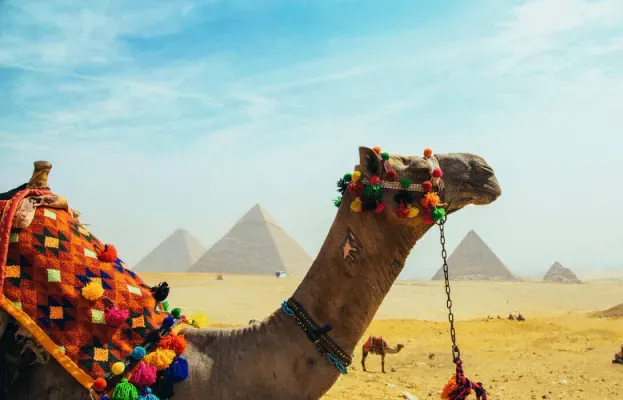 Cairo and Nile Cruise package | Egypt Itinerary 8 Days | Best Egypt Tour